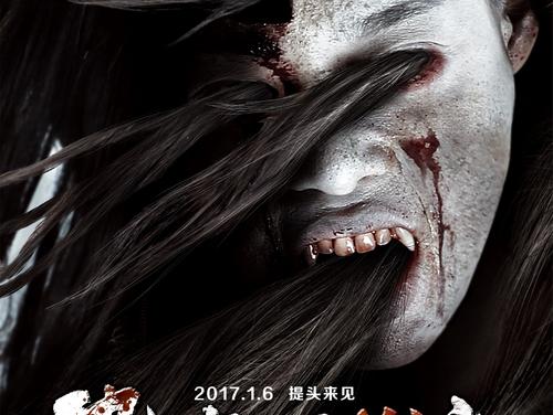 成都房产证图片样本高清